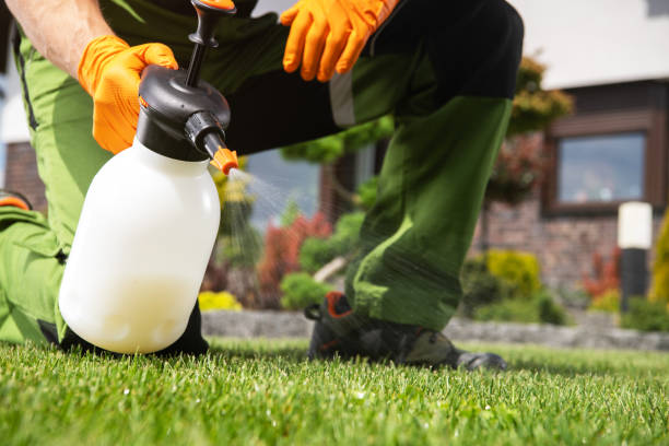 Wildlife Control Services in Flourtown, PA