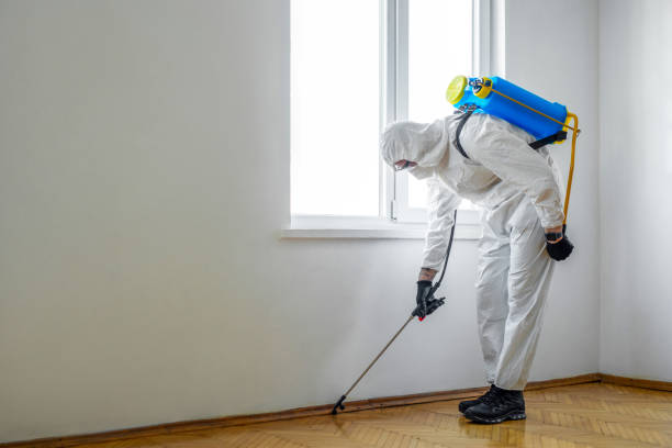 Best Pest Prevention Services  in Flourtown, PA