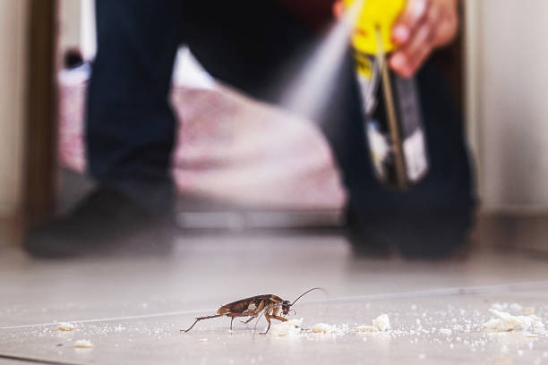 Best Flea Control Services  in Flourtown, PA